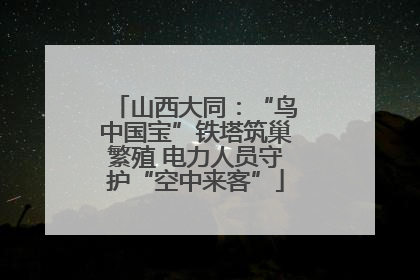 山西大同：“鸟中国宝”铁塔筑巢繁殖 电力人员守护“空中来客”