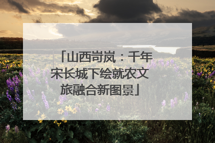 山西岢岚：千年宋长城下绘就农文旅融合新图景