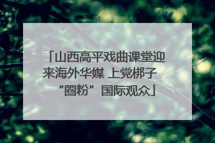 山西高平戏曲课堂迎来海外华媒 上党梆子“圈粉”国际观众