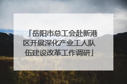 岳阳市总工会赴新港区开展深化产业工人队伍建设改革工作调研