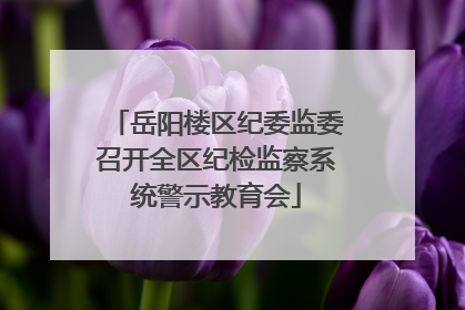岳阳楼区纪委监委召开全区纪检监察系统警示教育会
