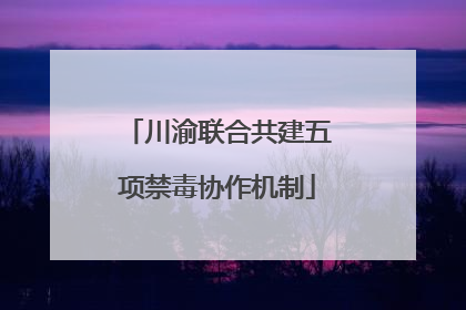川渝联合共建五项禁毒协作机制
