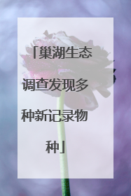 巢湖生态调查发现多种新记录物种