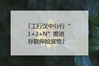 工行汉中分行“1+2+N”推进存款保险宣传