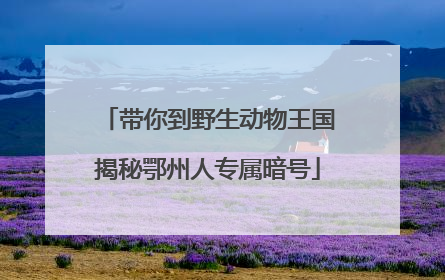 带你到野生动物王国揭秘鄂州人专属暗号