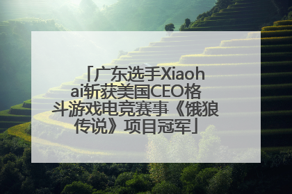 广东选手Xiaohai斩获美国CEO格斗游戏电竞赛事《饿狼传说》项目冠军