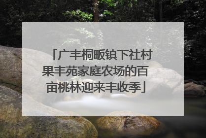 广丰桐畈镇下社村果丰苑家庭农场的百亩桃林迎来丰收季