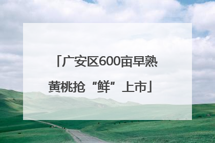 广安区600亩早熟黄桃抢“鲜”上市