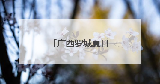 广西罗城夏日田园风光如画