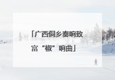 广西侗乡奏响致富“椒”响曲