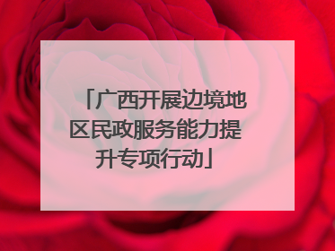广西开展边境地区民政服务能力提升专项行动