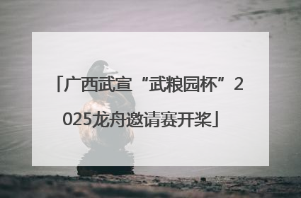广西武宣“武粮园杯”2025龙舟邀请赛开桨