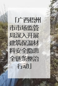 广西梧州市市场监管局深入开展建筑保温材料安全隐患全链条整治行动