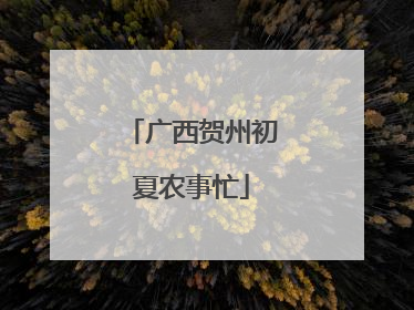 广西贺州初夏农事忙
