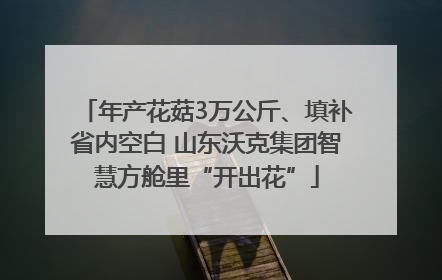 年产花菇3万公斤、填补省内空白 山东沃克集团智慧方舱里“开出花”