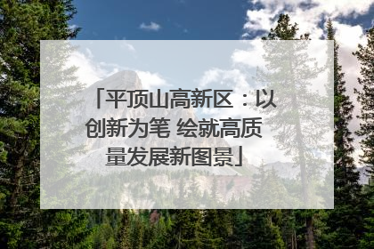 平顶山高新区：以创新为笔 绘就高质量发展新图景