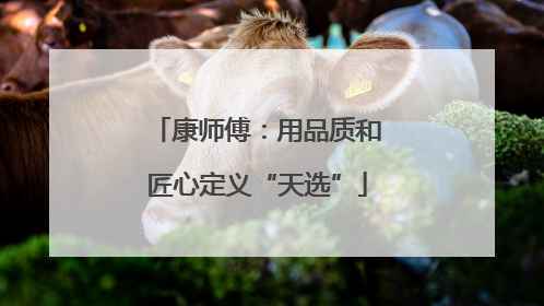 康师傅：用品质和匠心定义“天选”