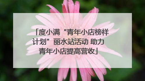度小满“青年小店榜样计划”丽水站活动 助力青年小店提高营收