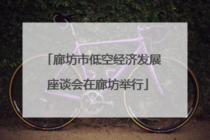 廊坊市低空经济发展座谈会在廊坊举行