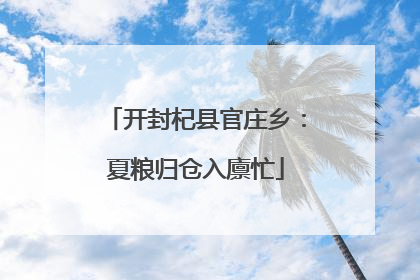 开封杞县官庄乡：夏粮归仓入廪忙