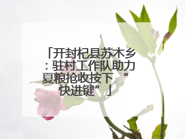 开封杞县苏木乡：驻村工作队助力夏粮抢收按下 “快进键”