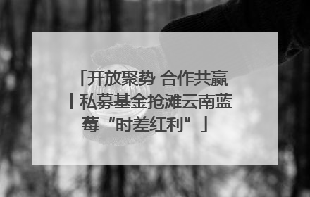 开放聚势 合作共赢丨私募基金抢滩云南蓝莓“时差红利”