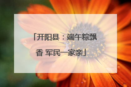开阳县：端午粽飘香 军民一家亲