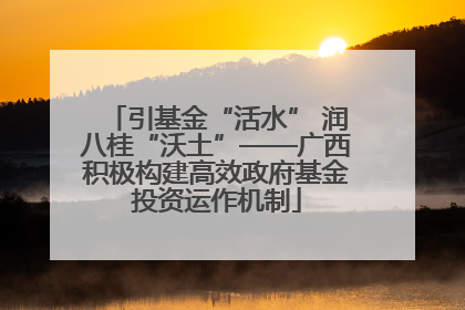 引基金“活水” 润八桂“沃土”——广西积极构建高效政府基金投资运作机制