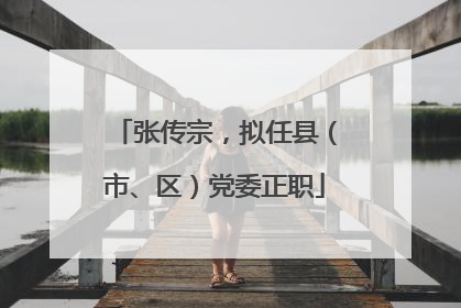 张传宗，拟任县（市、区）党委正职