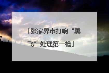 张家界市打响“黑飞”处理第一枪