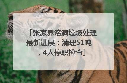 张家界溶洞垃圾处理最新进展：清理51吨，4人停职检查