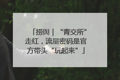 捞舆｜“青交所”走红，流量密码是官方带头“玩起来”