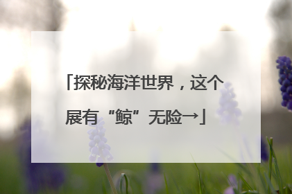 探秘海洋世界，这个展有“鲸”无险→