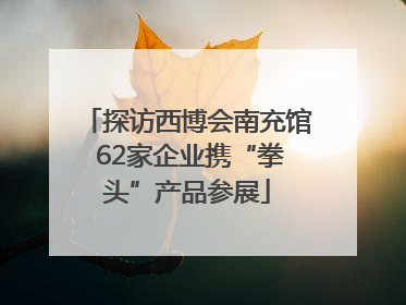 探访西博会南充馆 62家企业携“拳头”产品参展
