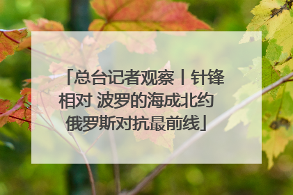 总台记者观察丨针锋相对 波罗的海成北约俄罗斯对抗最前线
