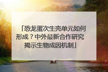 恐龙蛋次生壳单元如何形成？中外最新合作研究揭示生物成因机制