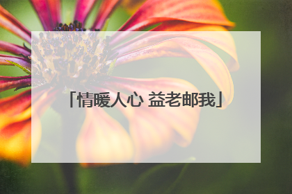 情暖人心 益老邮我