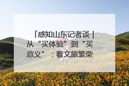 感知山东记者谈｜从“买体验”到“买意义”：看文旅繁荣背后的幸福新定义