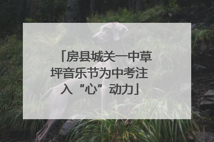 房县城关一中草坪音乐节为中考注入“心”动力