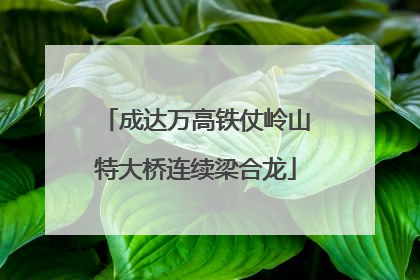 成达万高铁仗岭山特大桥连续梁合龙
