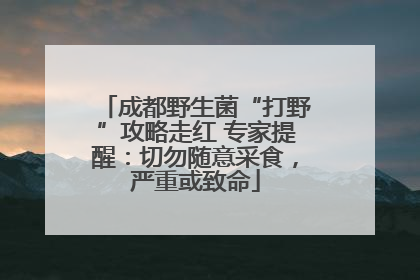 成都野生菌“打野”攻略走红 专家提醒：切勿随意采食，严重或致命