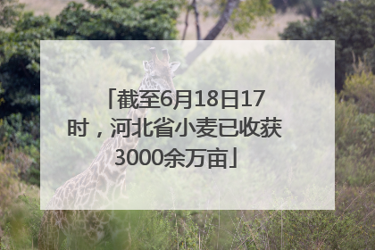 截至6月18日17时，河北省小麦已收获3000余万亩