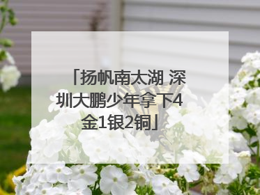 扬帆南太湖 深圳大鹏少年拿下4金1银2铜