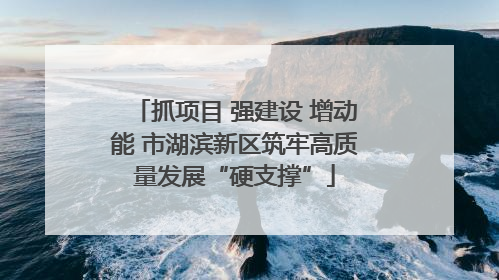 抓项目 强建设 增动能 市湖滨新区筑牢高质量发展“硬支撑”