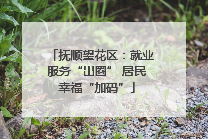 抚顺望花区：就业服务“出圈” 居民幸福“加码”