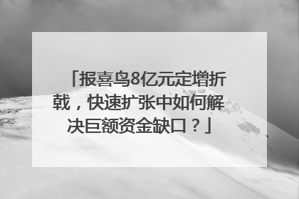 报喜鸟8亿元定增折戟，快速扩张中如何解决巨额资金缺口？