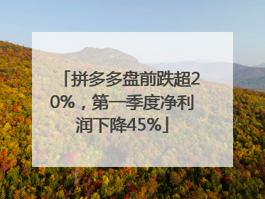 拼多多盘前跌超20%，第一季度净利润下降45%