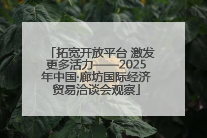 拓宽开放平台 激发更多活力——2025年中国·廊坊国际经济贸易洽谈会观察