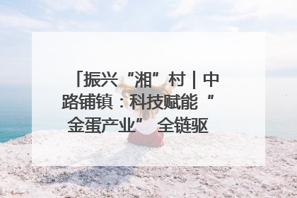 振兴“湘”村｜中路铺镇：科技赋能“金蛋产业” 全链驱动乡村振兴