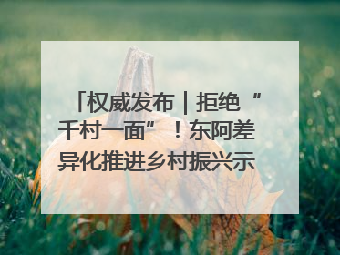 权威发布｜拒绝“千村一面”！东阿差异化推进乡村振兴示范片区建设